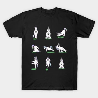 Unicorn Yoga Asana Funny T-shirt- T-Shirt